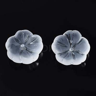 Transparent Frosted Glass Beads GLAA-Q089-003-B001-1