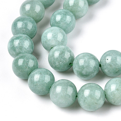 Natural Myanmar Jade/Burmese Jade Beads Strands X-G-T064-22-10mm-1