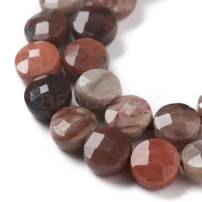 Natural Petrified Wood Beads Strands G-K332-B02-1