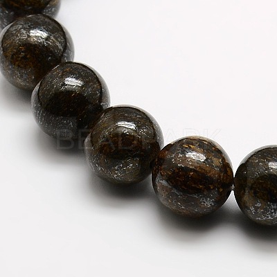 Round Natural Bronzite Beads Strands G-P059C-01-1
