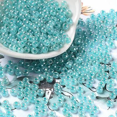 Glass Seed Beads SEED-H002-E-A1419-1