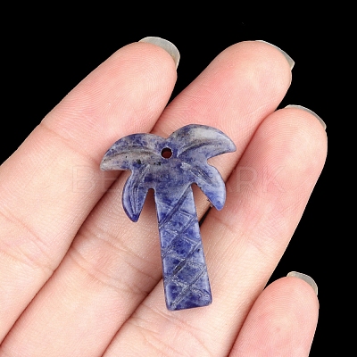 Natural Sodalite Pendants PW-WG3631D-01-1