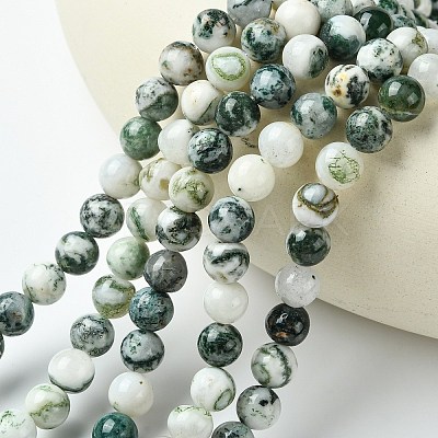 Natural Tree Agate Beads Strands G-K194-8mm-02-1