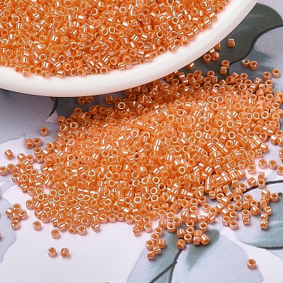 MIYUKI Delica Beads SEED-X0054-DB1563-1