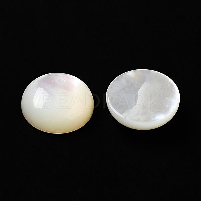 Natural White Shell Cabochons SSHEL-M022-01D-1