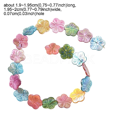 1 Strand Natural Freshwater Shell Beads Strands SHEL-YW0001-17-1