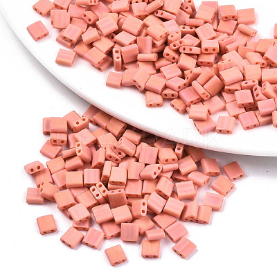 FGB 2-Hole Glass Seed Beads SEED-S031-L-ST50FR-1