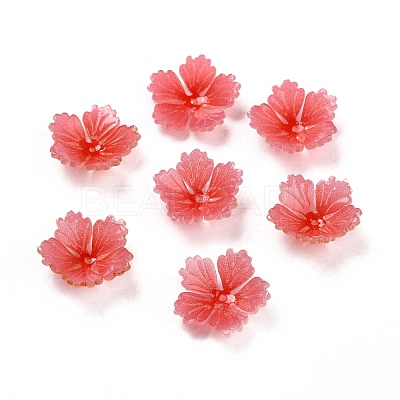 Acrylic Bead Caps SACR-E002-05-1