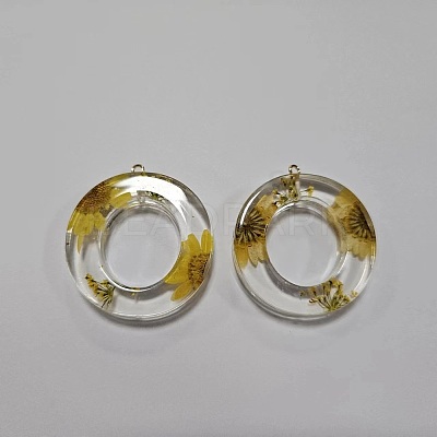 Transparent Epoxy Resin Pendants CRES-YW0002-12O-1