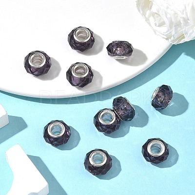 Handmade Glass European Beads LS-X-GPDL25Y-07-1