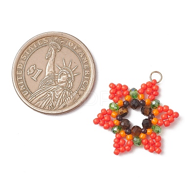 Glass Seed Beaded Pendants PALLOY-MZ01241-05-1