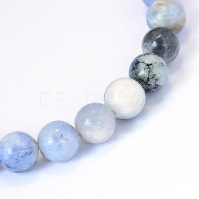 Natural Sodalite Round Bead Strands G-E334-10mm-08-1