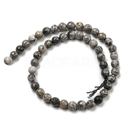 Natural Map Stone/Picasso Stone/Picasso Jasper Beads Strands G-C079-B05-02-1
