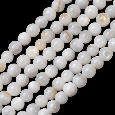 Natural Freshwater Shell Beads Strands SH-CBA2978-07D-02-1