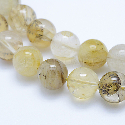 Natural Dendritic Quartz Beads Strands G-J373-01-12mm-1