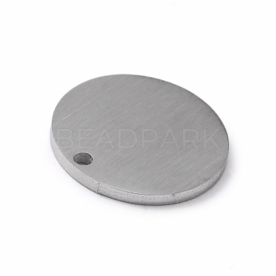Tarnish Resistant 304 Stainless Steel Pendants STAS-F271-02B-P-1
