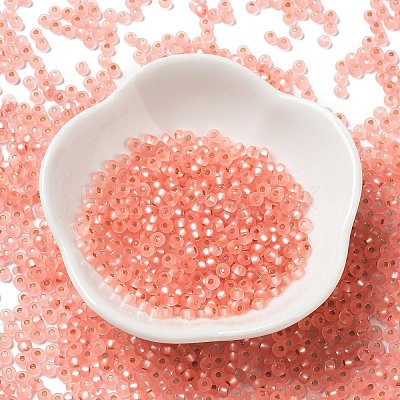 8/0 Glass Seed Beads SEED-Z001-C-E07-1