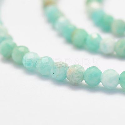 Natural Amazonite Bead Strands X-G-P279-42-3mm-1