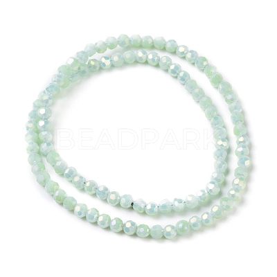 Round Full Rainbow Plated Faceted(32 Facets) Electroplate Glass Beads Strands X-EGLA-J130-FR17-1