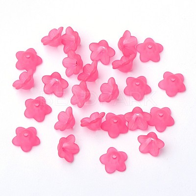 Transparent Acrylic Beads LS-PL560-2-1