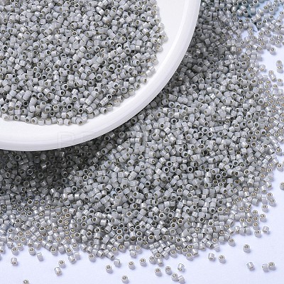 MIYUKI Delica Beads X-SEED-J020-DB1455-1