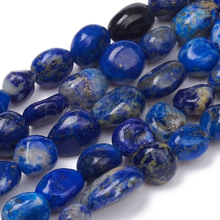 Natural Lapis Lazuli Beads Strands G-L493-40-1