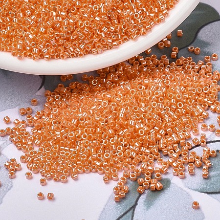 MIYUKI Delica Beads SEED-X0054-DB1563-1