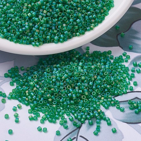 MIYUKI Delica Beads SEED-MY11-DB0858-1