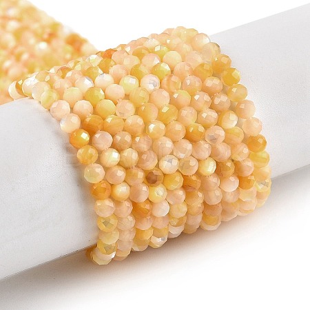 Natural Yellow Shell Beads Strands BSHE-G036-09B-1