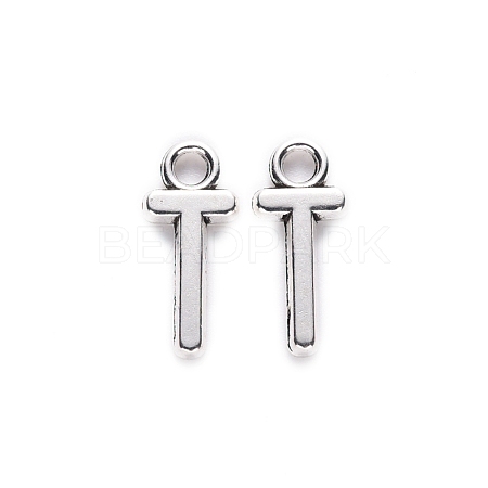 Tibetan Style Alloy Pendants TIBE-S108-108T-AS-RS-1