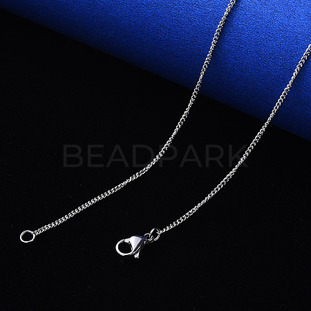 Non-Tarnish 304 Stainless Steel Curb Chain Necklace NJEW-S420-001C-P-1