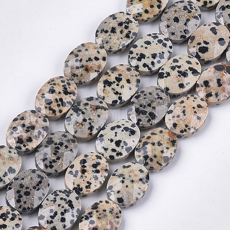 Natural Dalmatian Jasper Beads Strands X-G-S354-15-1