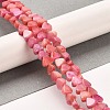 Natural Dolomite Beads Strands G-F765-H05-01-2