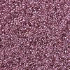 MIYUKI Round Rocailles Beads SEED-JP0008-RR1132-3