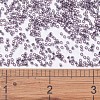MIYUKI Delica Beads SEED-X0054-DB1205-4