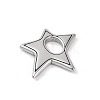 316 Surgical Stainless Steel Pendants X-STAS-G349-17P-2