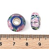 Lampwork & Brass Core European Beads LAMP-P019-01P-27-3