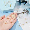   12 Sets 3 Style Openable Transparent Glass Pendants FIND-PH0008-76-5