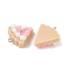Opaque Resin Pendants FIND-Z092-01P-02-2