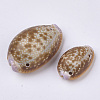 Natural Cowrie Shell Links connectors SSHEL-N034-22-2