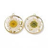 Transparent Clear Epoxy Resin Pendants RESI-L036-12G-08-1