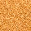 TOHO Round Seed Beads X-SEED-TR11-0962-2