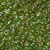 6/0 Glass Seed Beads X1-SEED-A007-4mm-164-2