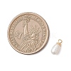 Natural Cultured Freshwater Pearl Rice Charms PALLOY-JF04868-2