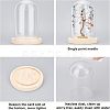 Glass Dome Cover ODIS-WH0010-41B-4