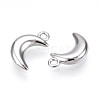 304 Stainless Steel Charms STAS-N109-138P-2