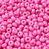 Baking Paint Glass Seed Beads X1-SEED-B001-02A-01-3