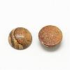 Natural Picture Jasper Cabochons G-R416-8mm-42-2