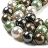 Polished Shell Pearl Bead Strands BSHE-F013-07D-3