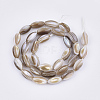 Freshwater Shell Beads Strands SHEL-S276-34A-2